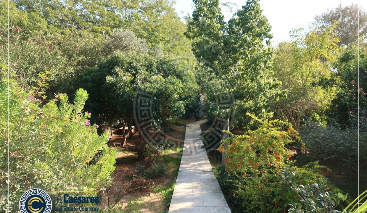 וילה למכירה בשכונת הים בקיסריה (שכונה 6)