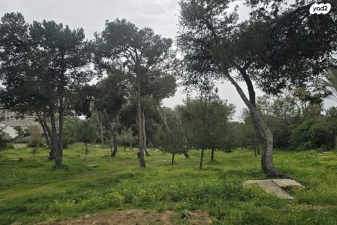 קוטג למכירה בקיסריה